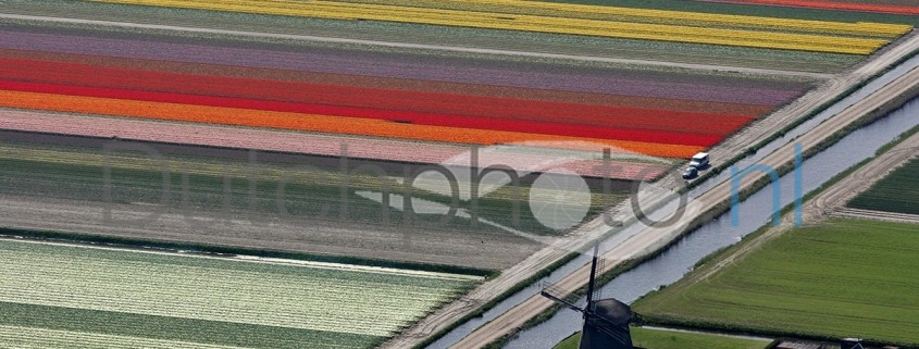 luchtfoto bloembollenvelden